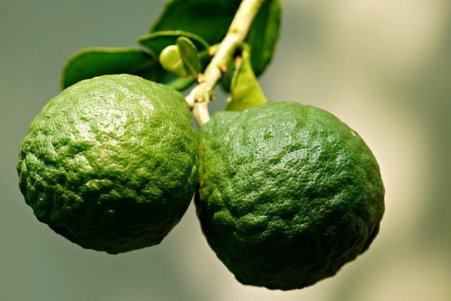 Kyselina ‍salicylová:‍ Vlastnosti a kozmetické aplikácie